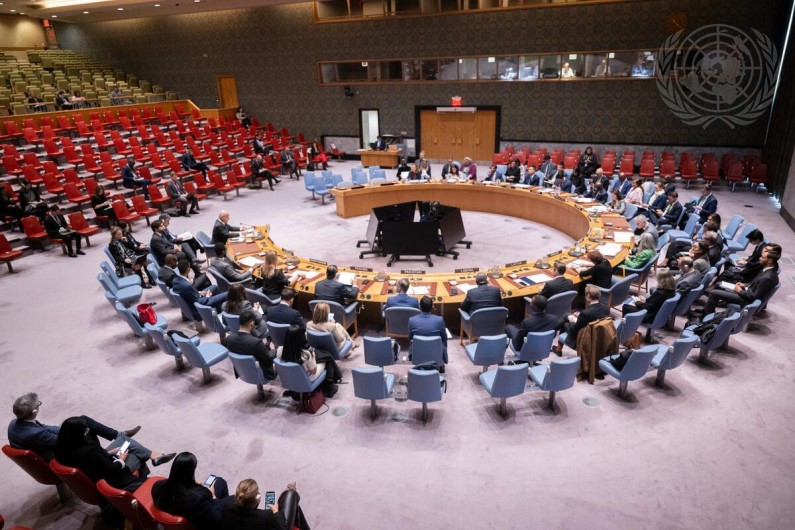 Guyana supports push for Africa and Latin America and Caribbean having permanent presence on UN Security Council