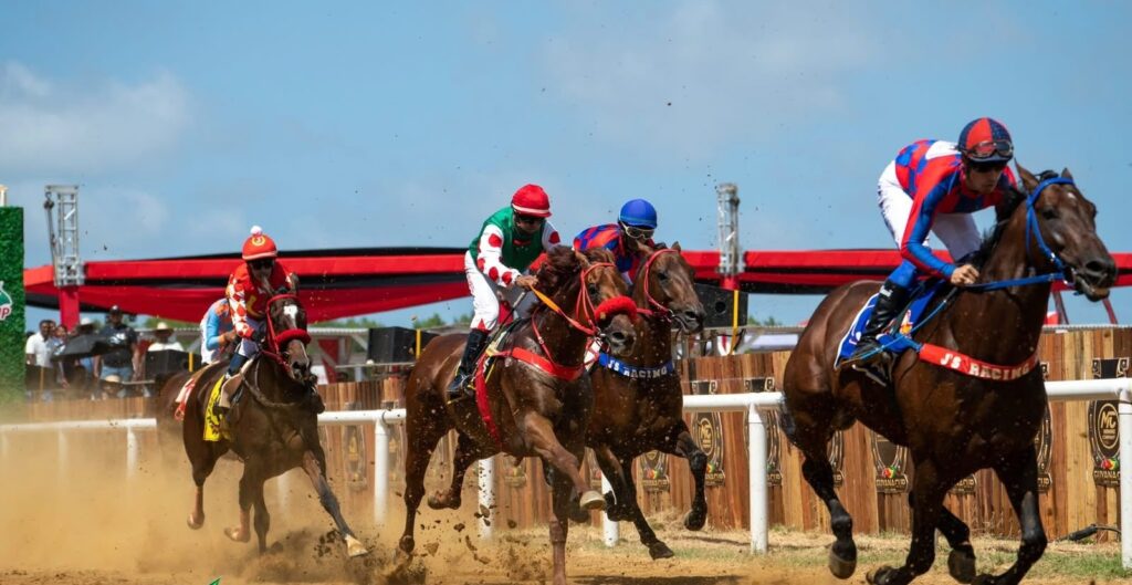 More than 80 horses confirmed for Showdown of Champions stakes