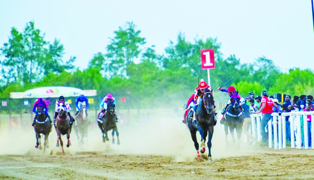 Top horses confirmed for Port Mourant’s Showdown of Champions