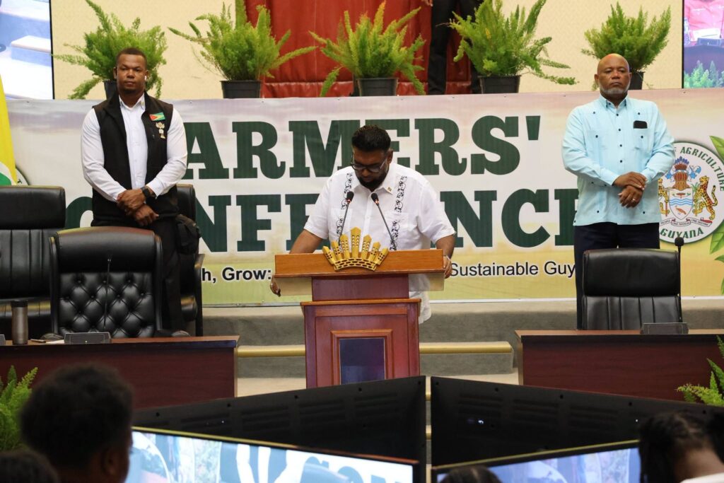 Nearly 30% of Development Bank applications target agriculture – Pres Ali