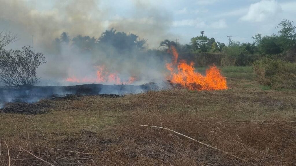 Grass fire at Liliendaal sends heavy smoke towards homes