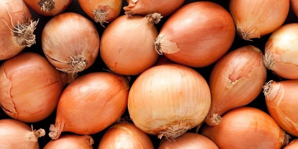 Guyana targets end-of-year onion self-sufficiency as cultivation expands to four regions